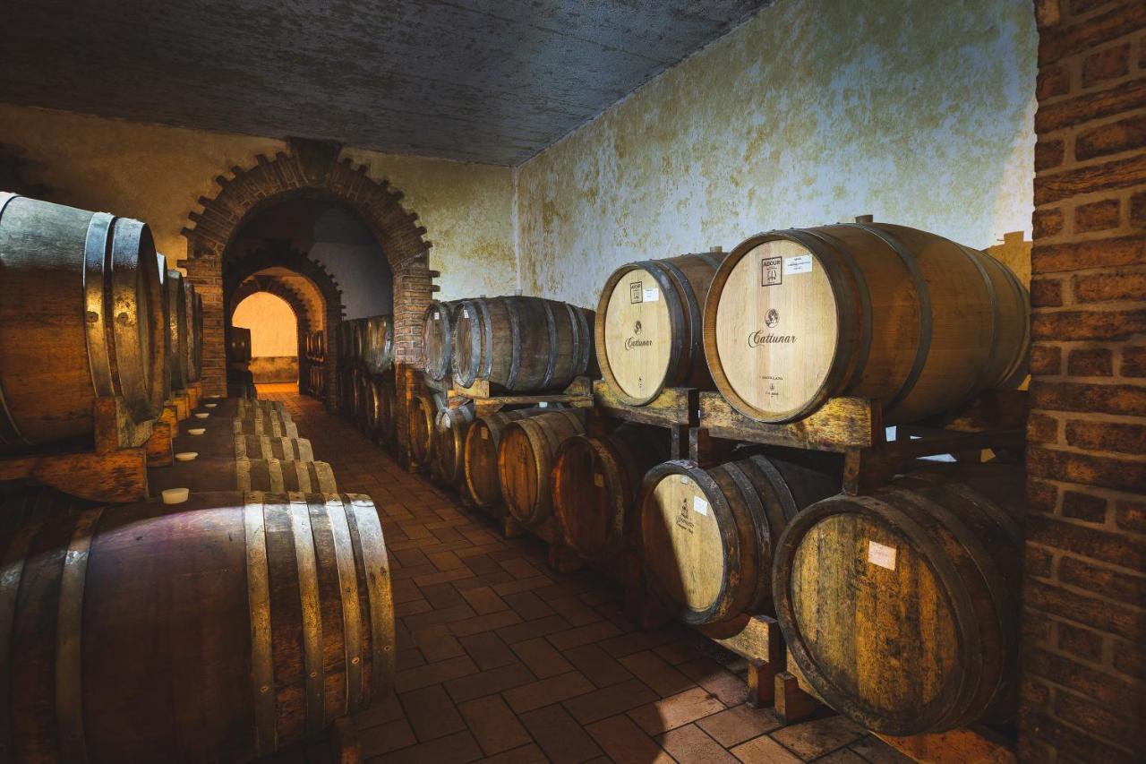 Wine Residence Cattunar Brtonigla Eksteriør bilde