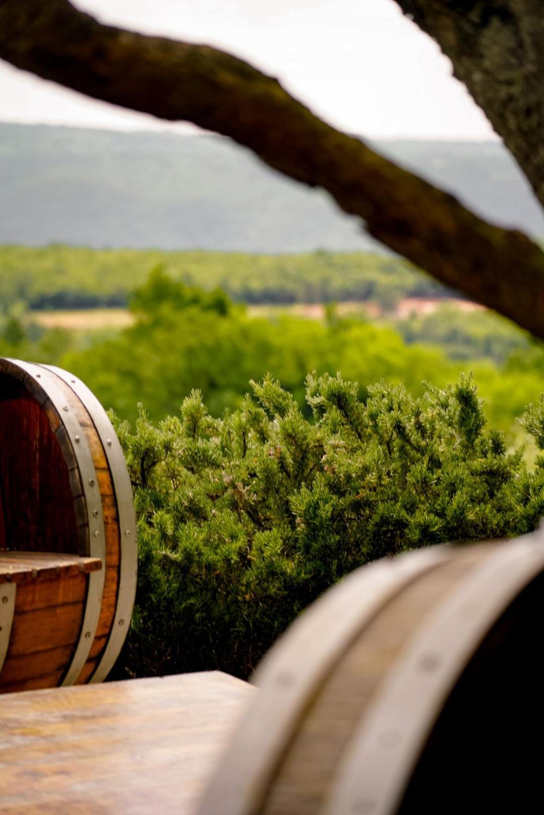 Wine Residence Cattunar Brtonigla Eksteriør bilde