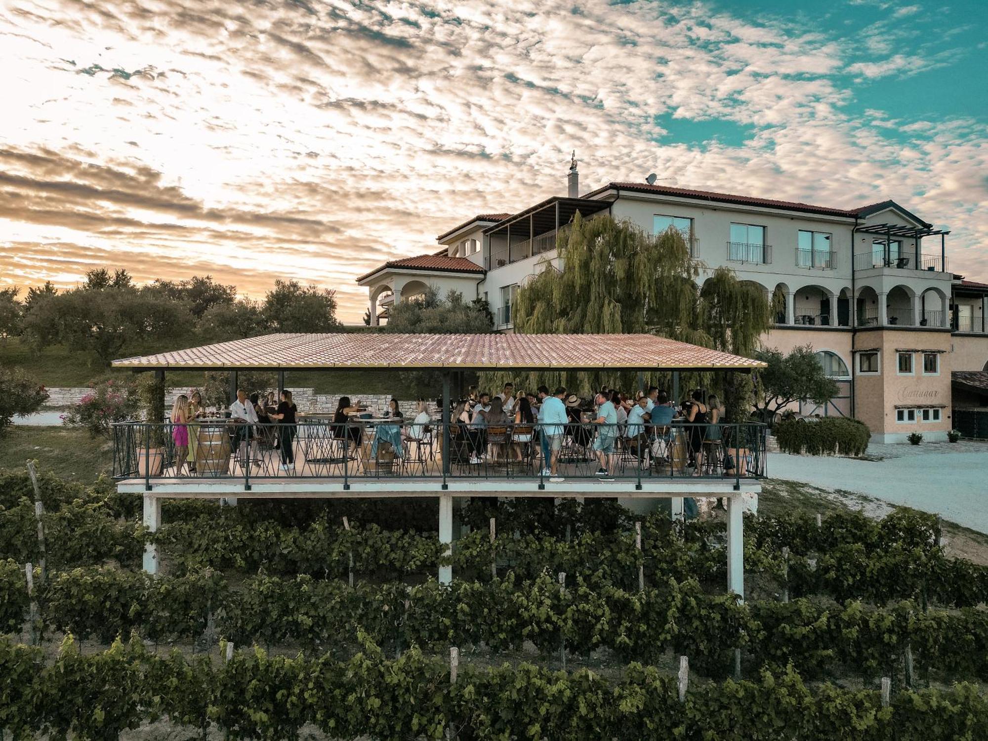 Wine Residence Cattunar Brtonigla Eksteriør bilde