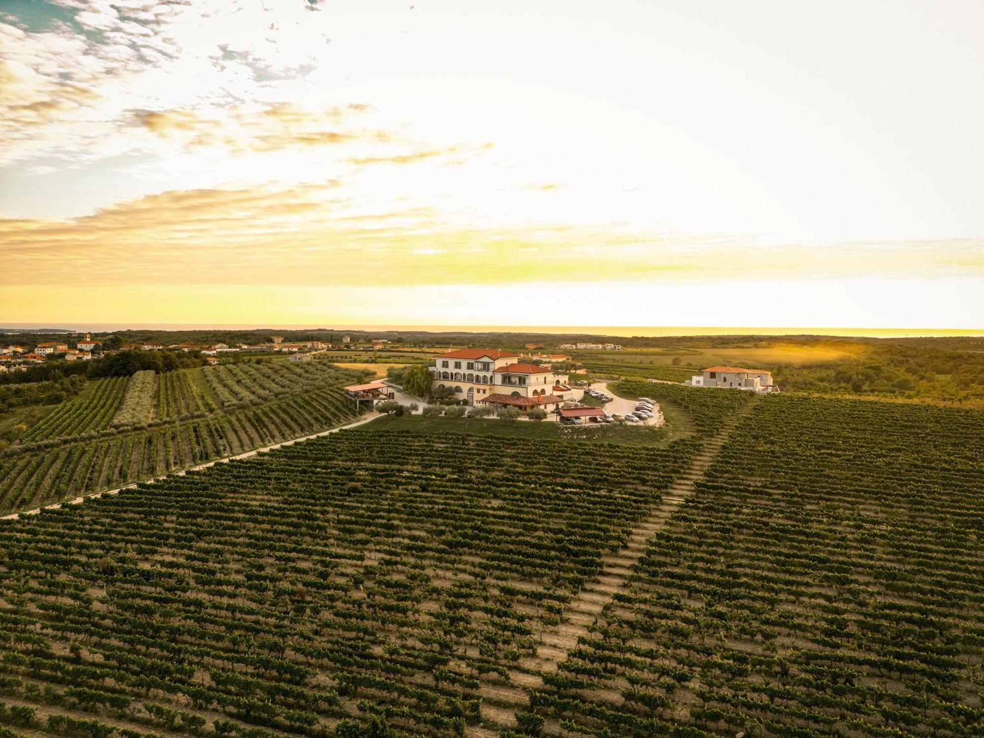 Wine Residence Cattunar Brtonigla Eksteriør bilde